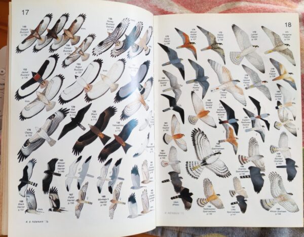 Roberts’ Birds of Southern Africa – Gordon Lindsay MacLean secondhand book