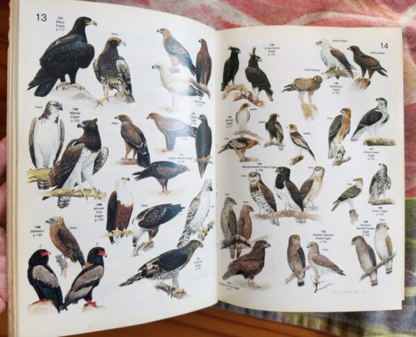 Roberts’ Birds of Southern Africa – Gordon Lindsay MacLean secondhand book