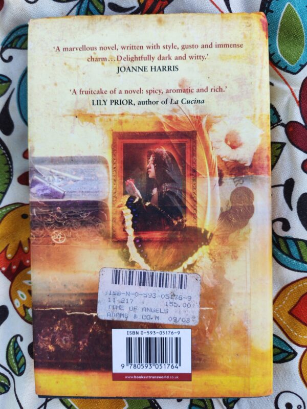 The Ship Thieves – Siân Rees secondhand book