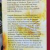 The Ship Thieves – Siân Rees secondhand book
