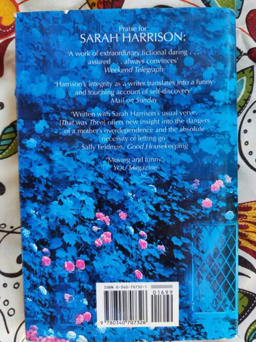 Heaven’s On Hold – Sarah Harrison secondhand book