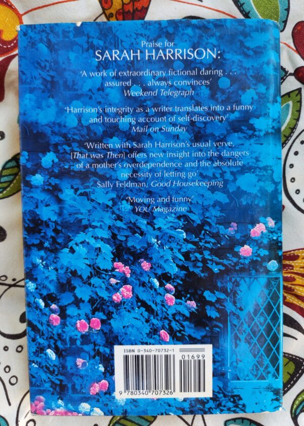 Heaven’s On Hold – Sarah Harrison secondhand book