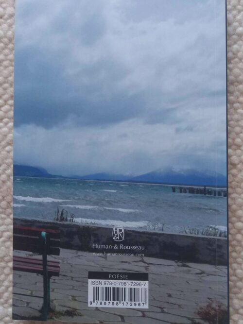 Indeks — Joan Hambidge secondhand book