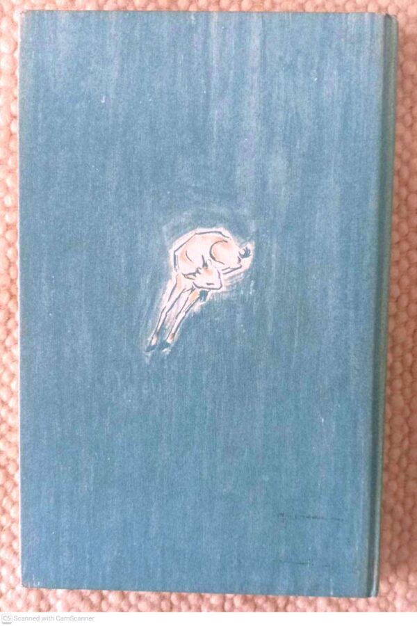 Katrientjie Van Keerweder — Alba Bouwer secondhand book