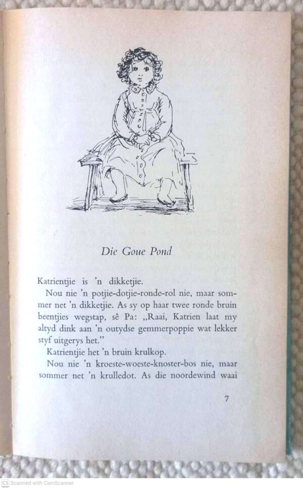 Katrientjie Van Keerweder — Alba Bouwer secondhand book