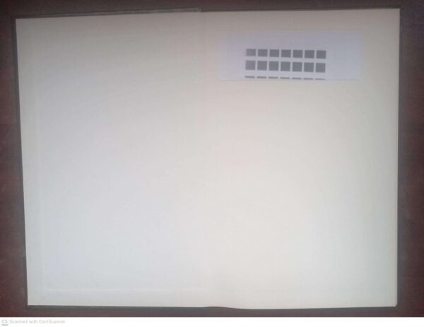 Die Einde Van ‘n Kluisenaar Se Lewe — M. C. Botha secondhand book