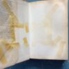Madeleine – Ela Spence secondhand book