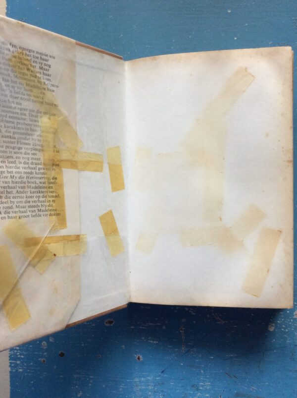 Madeleine – Ela Spence secondhand book