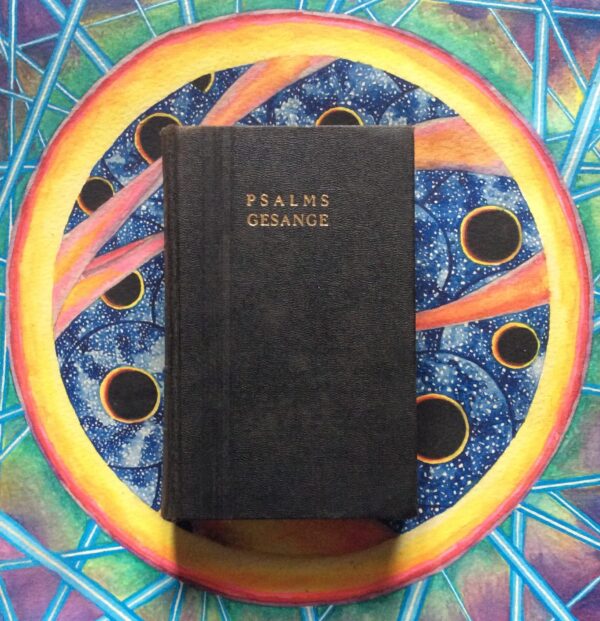 Die Berymde Psalms saam met die Evangeliese Gesange secondhand book