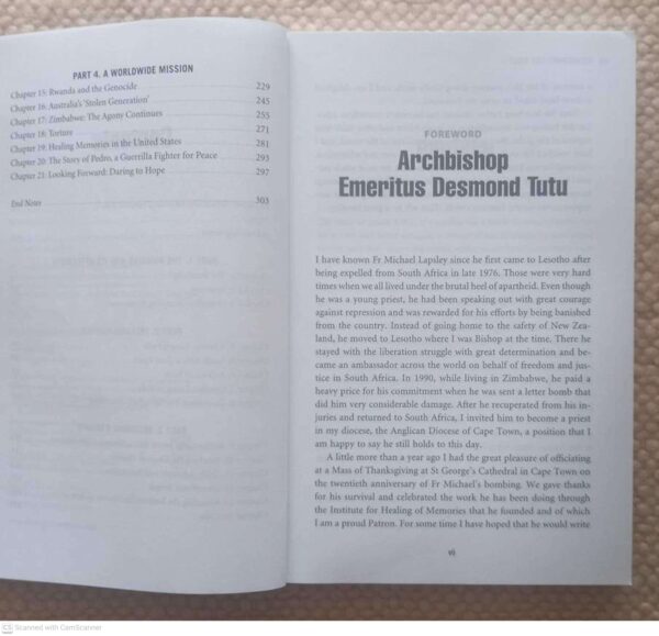 Redeeming The Past – Michael Lapsley secondhand book