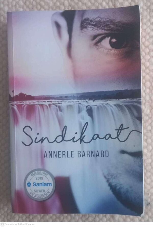 Sindikaat — Annerle Barnard secondhand book