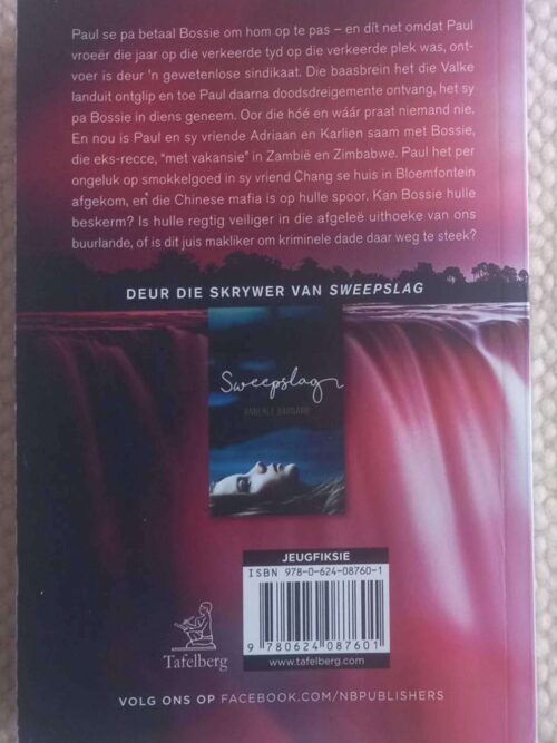 Sindikaat — Annerle Barnard secondhand book