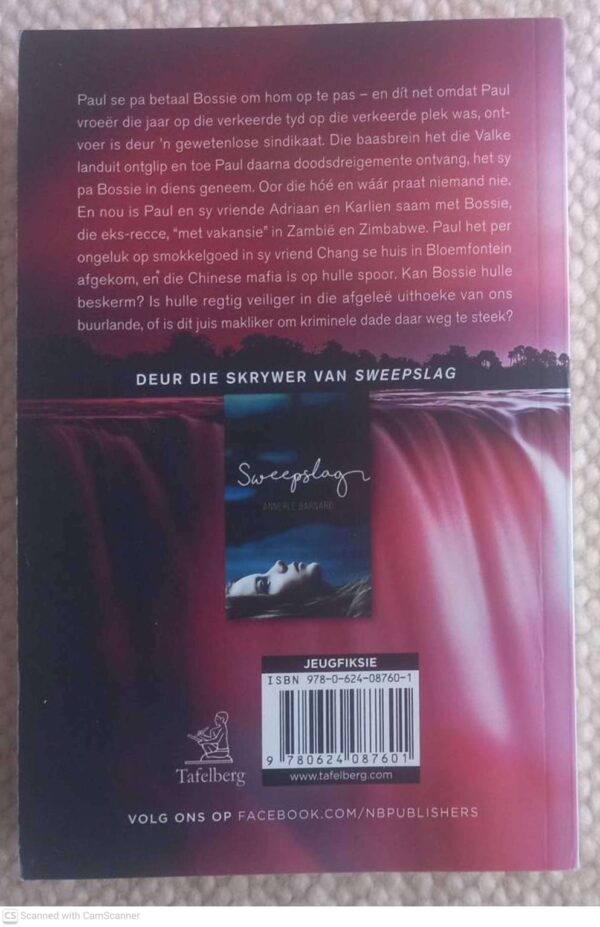 Sindikaat — Annerle Barnard secondhand book
