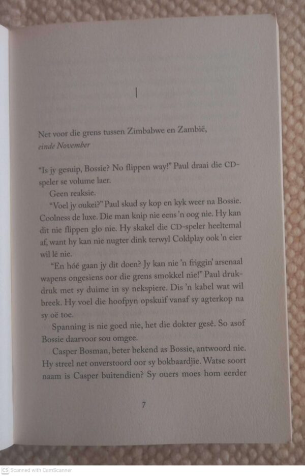 Sindikaat — Annerle Barnard secondhand book