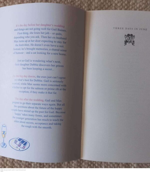 Three Days In June — Anne Tyler secondhand book