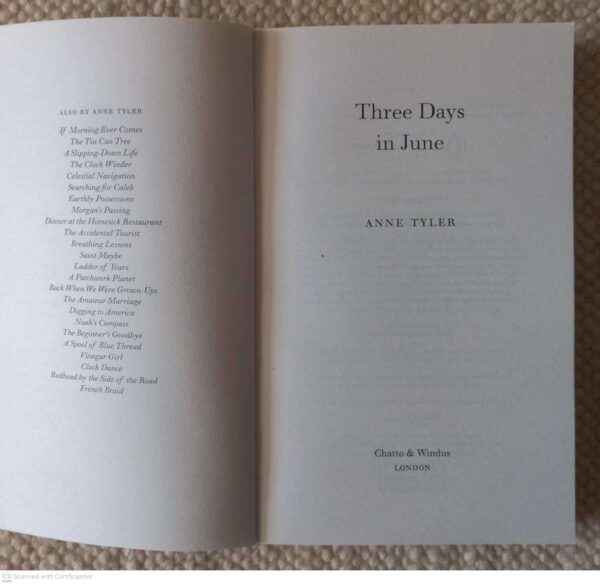 Three Days In June — Anne Tyler secondhand book
