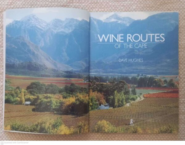 Wine Routes Of The Cape — Dave Hughes secondhand book