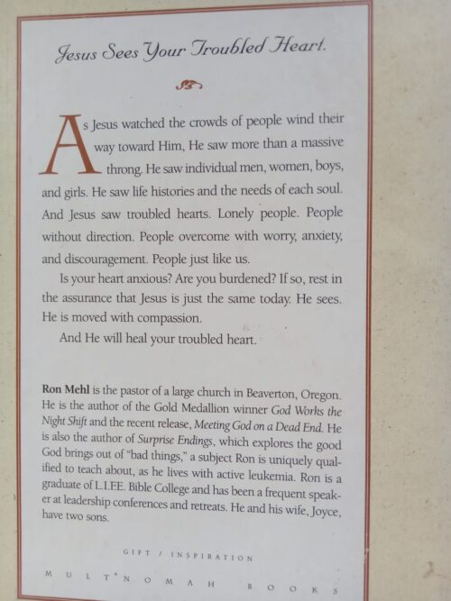 The Cure Of A Troubled Heart – Ron Mehl secondhand book