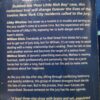 Just Duty – Laura Van Wormer secondhand book