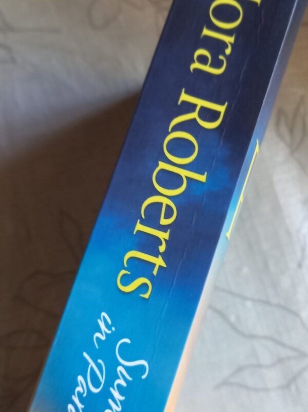 Summer in Paradise: Risky Business / The Right Path – Nora Roberts secondhand book