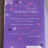 The Bermudez Triangle – Maureen Johnson secondhand book