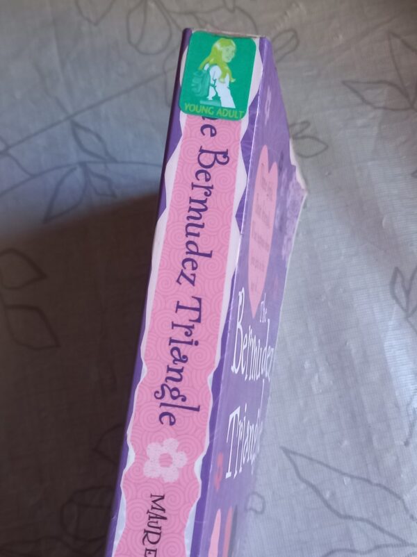 The Bermudez Triangle – Maureen Johnson secondhand book