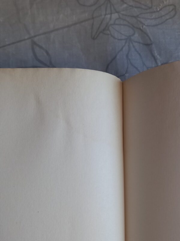 In His Father’s Footsteps – Danielle Steel secondhand book