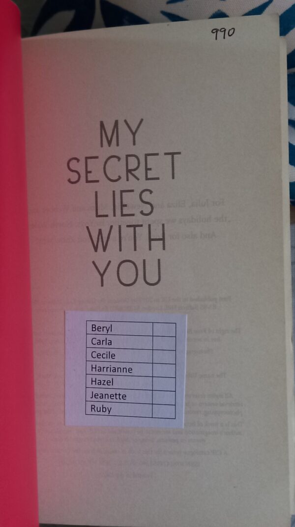 20260528_164800 My Secret Lies With You – Faye Bird secondhand book