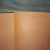 An Introduction To The South African Orchids — E. A. C. L. E. Schelpe secondhand book