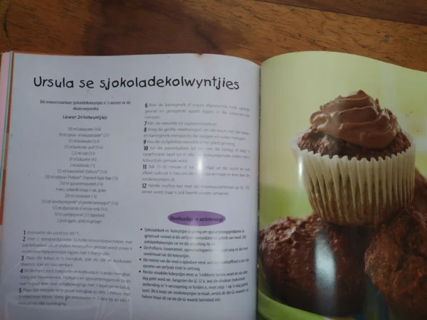 Volgehoue Energie Vir Kinders — Gabi Steenkamp, Tanzia Merlin & Jeske Wellmann secondhand book