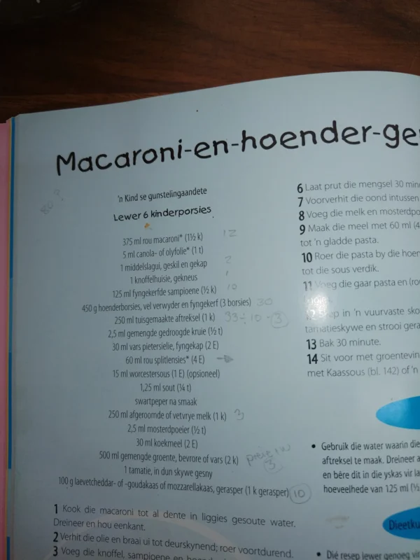 Volgehoue Energie Vir Kinders — Gabi Steenkamp, Tanzia Merlin & Jeske Wellmann secondhand book