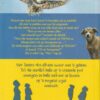 Dit Het Alles Begin By ‘n Hond – Annelie Ferreira secondhand book