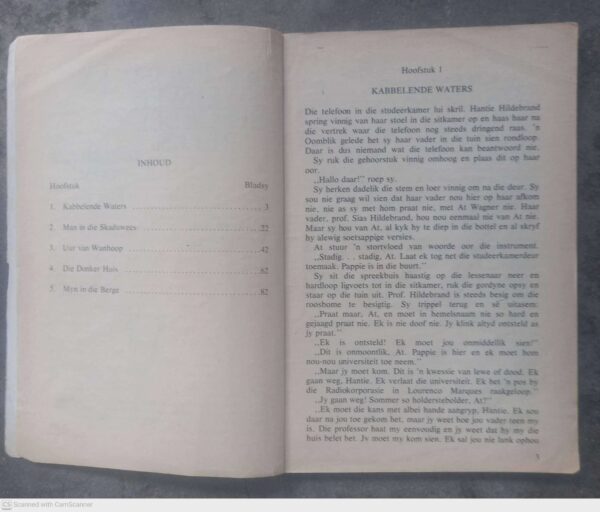 Een Uur Vir Satan – Braam Le Roux secondhand book