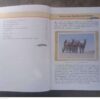 Gondwana History #4: Memorable Moments From Namibia’s Past secondhand book