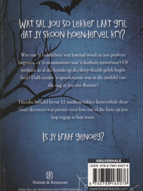 Hoe Gril Ek Nou – Francois Bloemhof, De Wet Hugo secondhand book