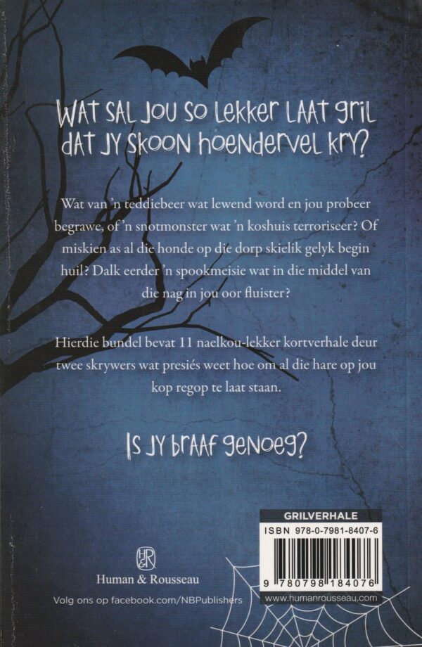 Hoe Gril Ek Nou – Francois Bloemhof, De Wet Hugo secondhand book