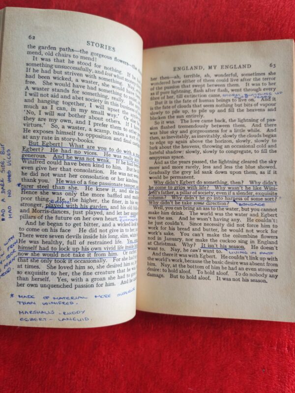 Stories, Essays And Poems – D. H. Lawrence secondhand book