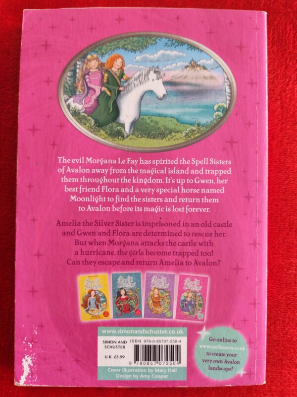 Spell Sisters: Amelia The Silver Sister – Amber Castle secondhand book