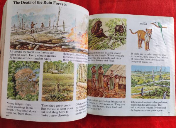Wild Places – Angela Wilkes secondhand book