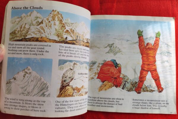 Wild Places – Angela Wilkes secondhand book