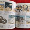Wild Places – Angela Wilkes secondhand book