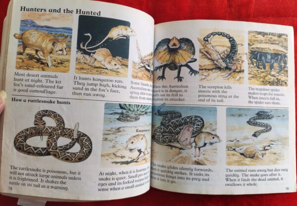 Wild Places – Angela Wilkes secondhand book