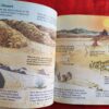 Wild Places – Angela Wilkes secondhand book