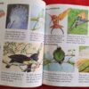 Wild Places – Angela Wilkes secondhand book