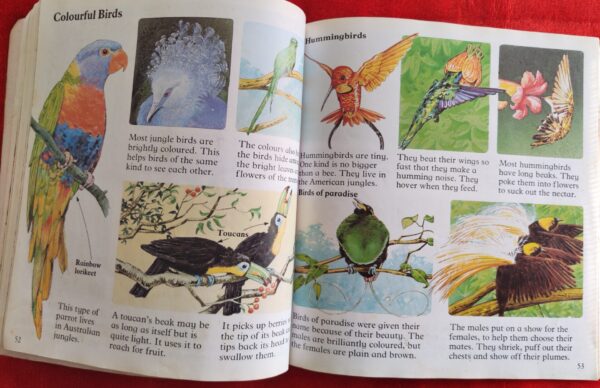 Wild Places – Angela Wilkes secondhand book