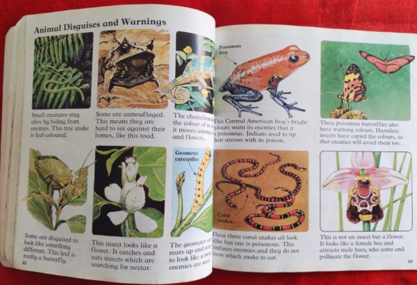 Wild Places – Angela Wilkes secondhand book