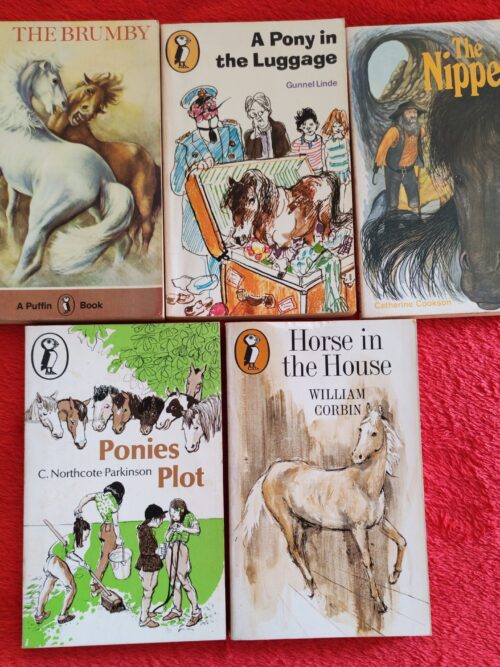 Horses And Ponies Stories Bundle – Various secondhand book