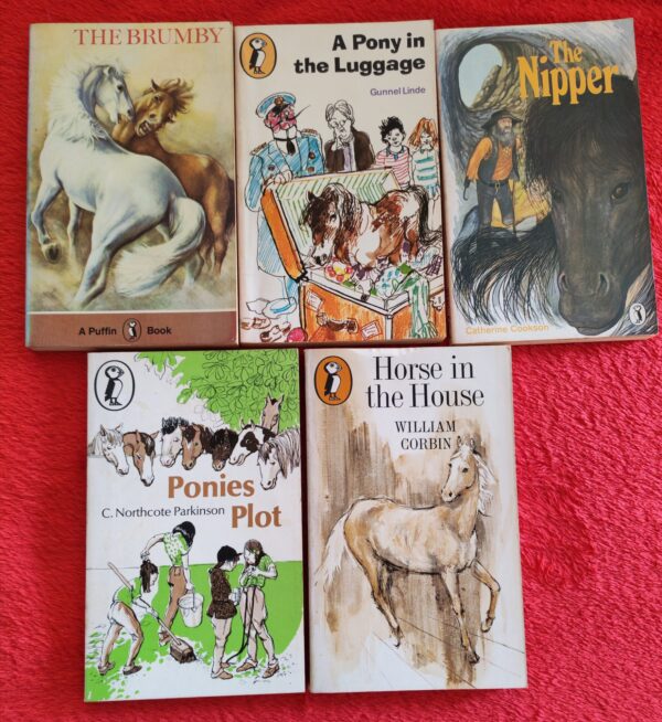 Horses And Ponies Stories Bundle – Various secondhand book