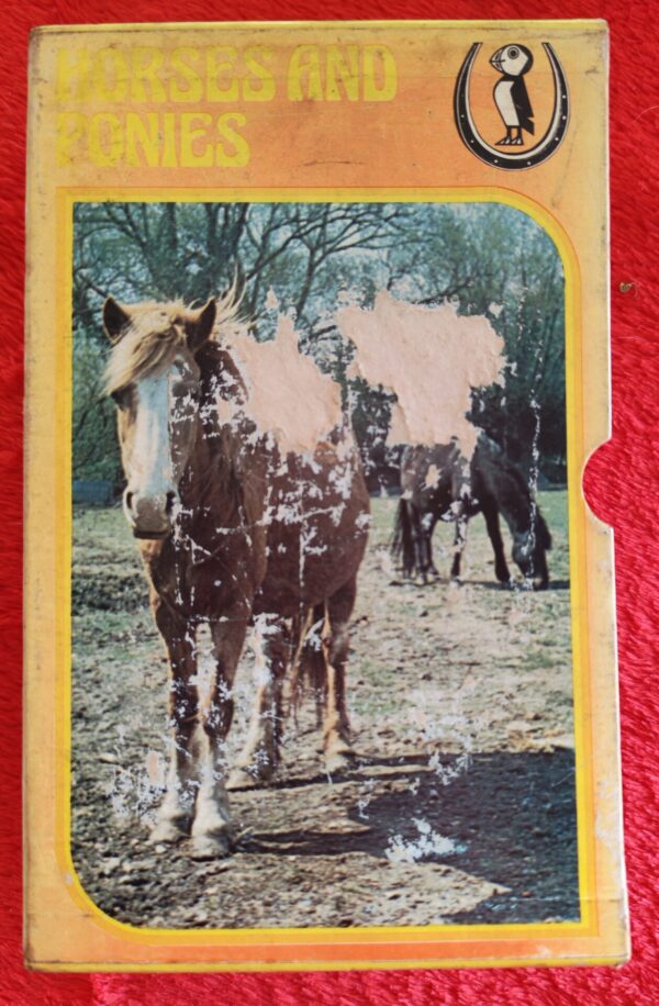 Horses And Ponies Stories Bundle – Various secondhand book