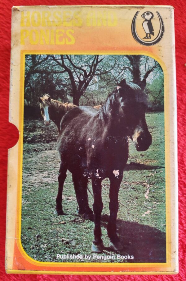 Horses And Ponies Stories Bundle – Various secondhand book